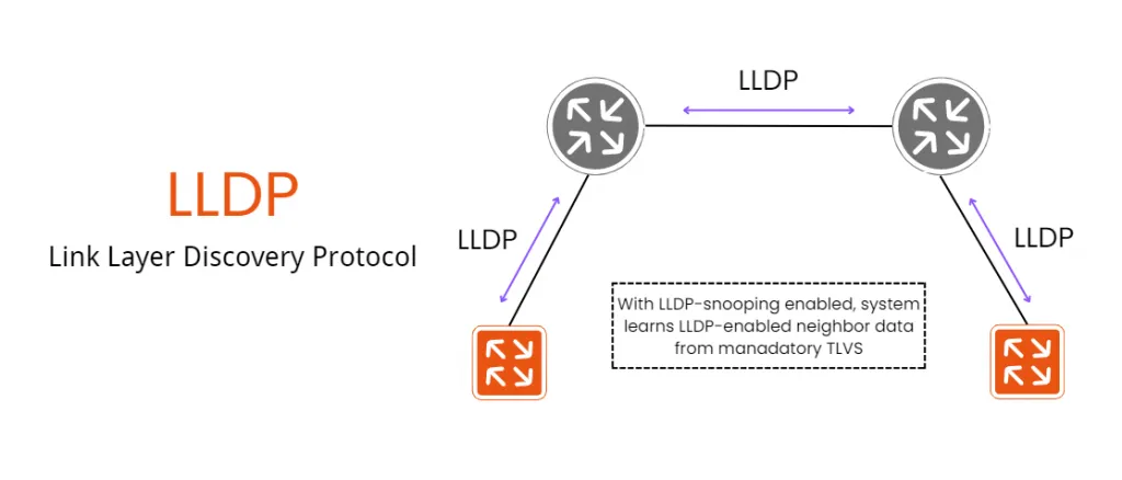 Link Layer Discovery Protocol (LLDP)