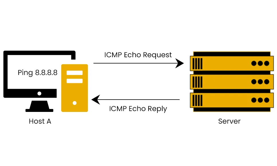 Ping (ICMP Echo Verification)