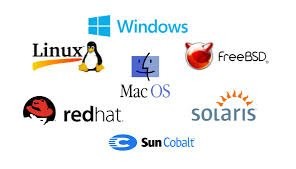 Server Operating Systems (Windows, Linux, Unix)