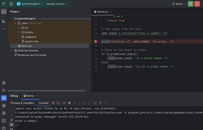 PyCharm Debugger