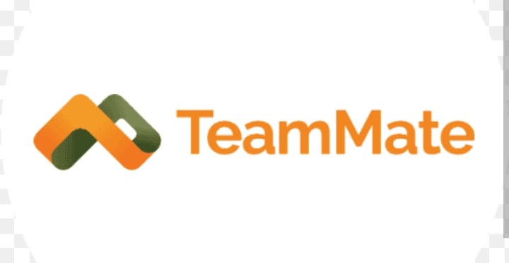 TeamMate+ logo