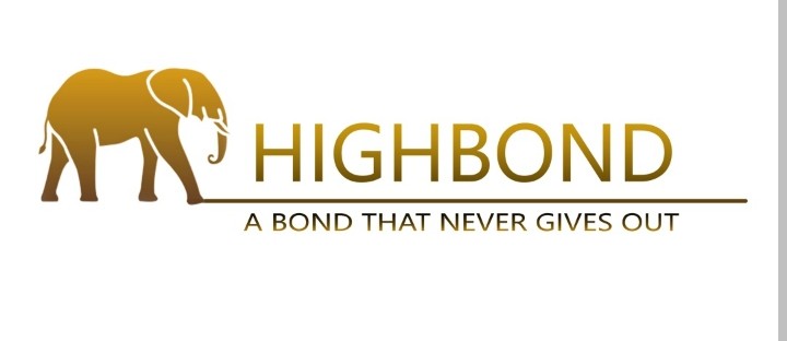 HighBond logo