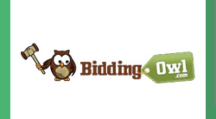 BiddingOwl logo
