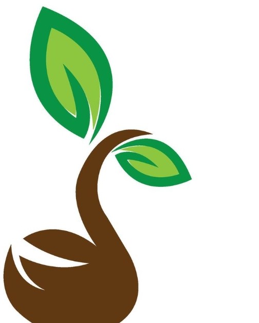 Sprout logo