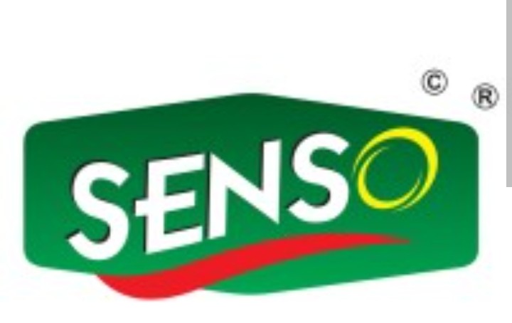 Senso logo
