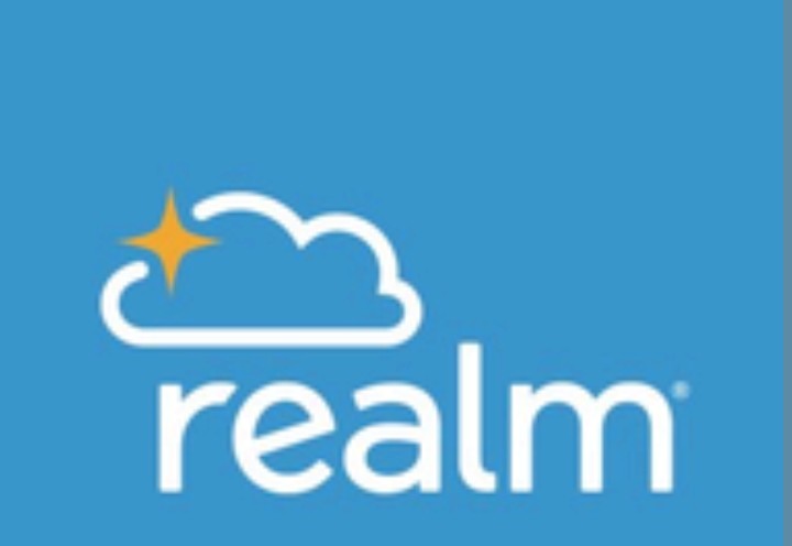 Realm (ACS Technologies) logo