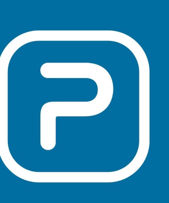 Platinum System logo