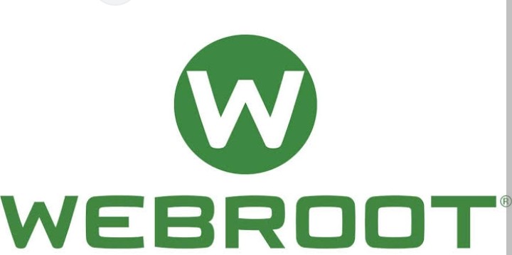 Webroot DNS Protection logo
