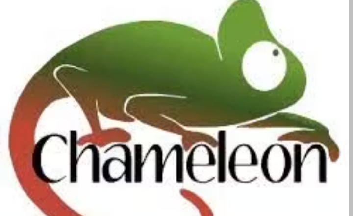Chameleon logo