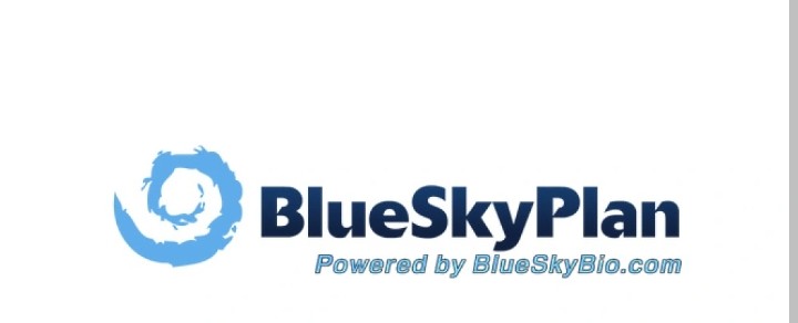 Blue Sky Plan logo