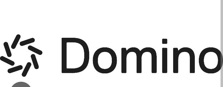 Domino Data Lab logo