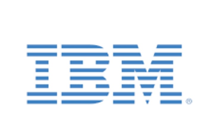IBM InfoSphere Information Server logo