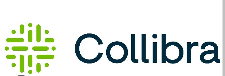 Collibra Data Quality logo