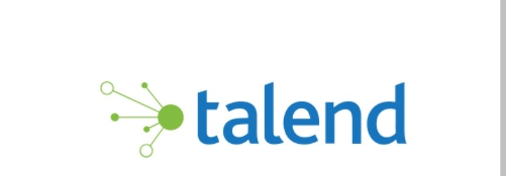 Talend Data Quality logo