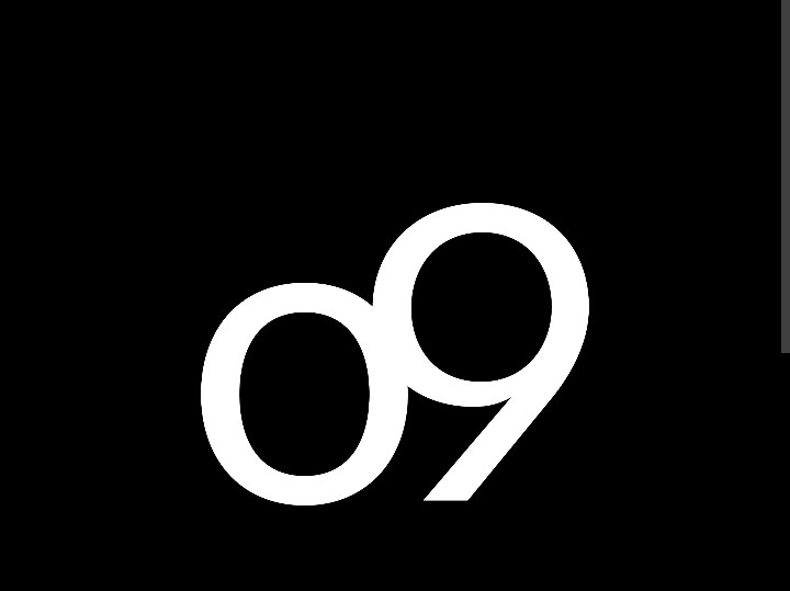 o9 Solutions logo