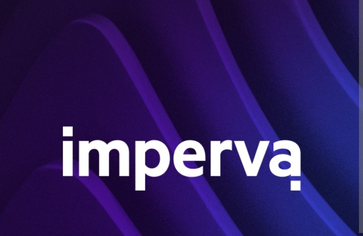 Imperva DDoS Protection logo