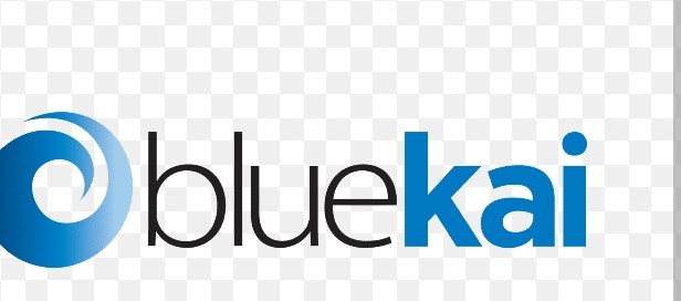 Oracle BlueKai logo