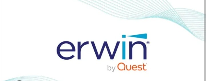 Erwin Data Intelligence logo