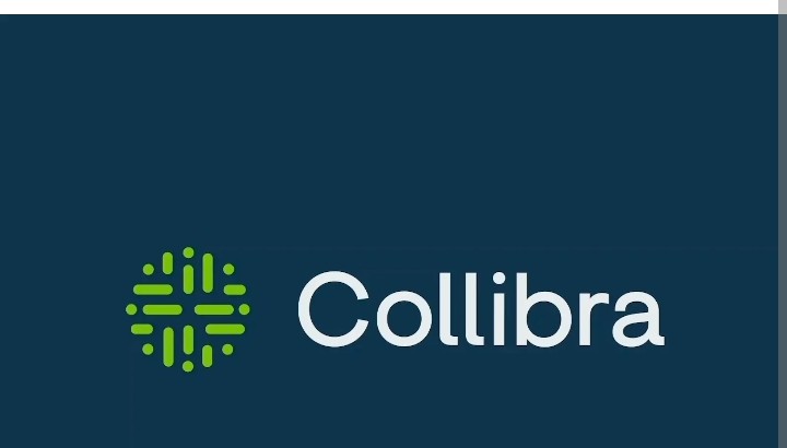 Collibra logo