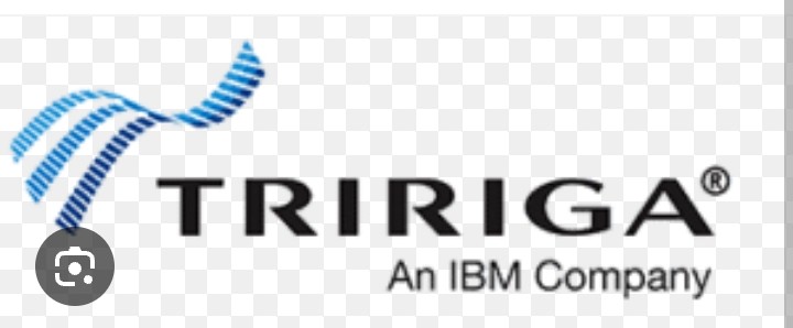 IBM TRIRIGA logo