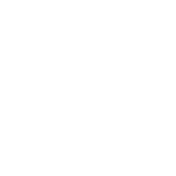 Stratus Data Systems logo