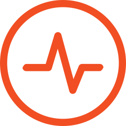 WSO2 API Manager logo